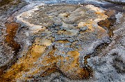 Upper Geyser Basin 18-3383a